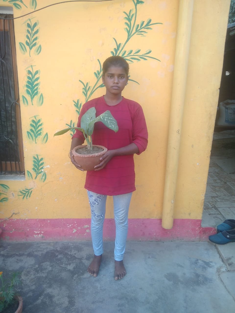 Awareness program to save our environment: